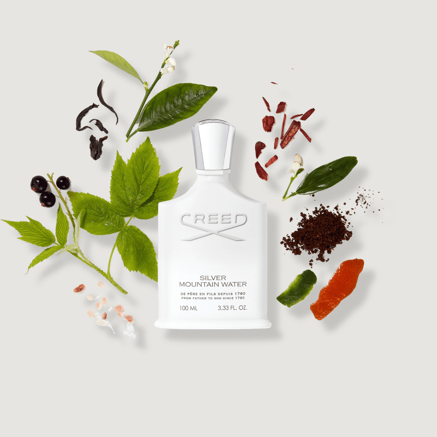 CREED SILVER MOUNTAIN WATER (IMPORTADORA) - 100ML